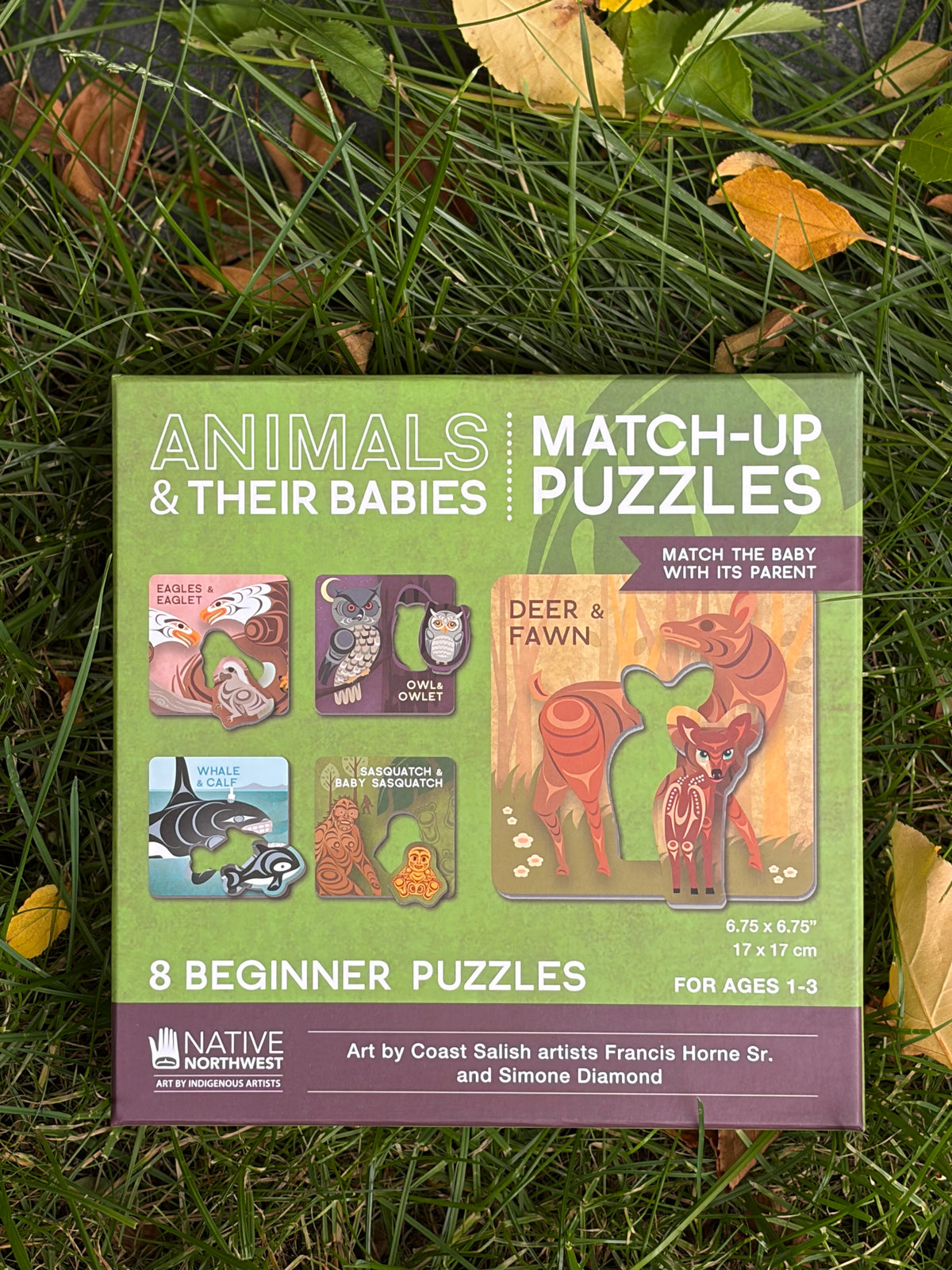 Baby Matching Game
